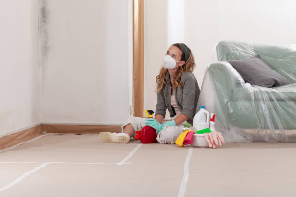 Reliable Black Mold Removal contractor in Canyon Lake, TX by WQB Mold Removal